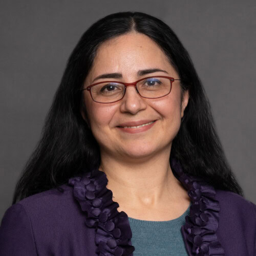 Mandana Arabi, MD, PhD