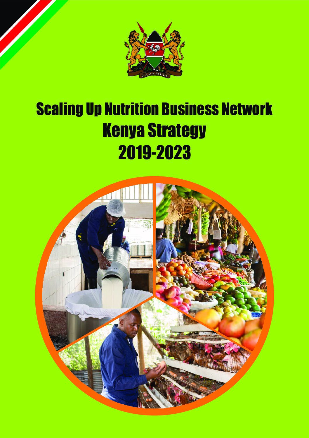 Scaling Up Nutrition Business Network Kenya Strategy 2019 2023