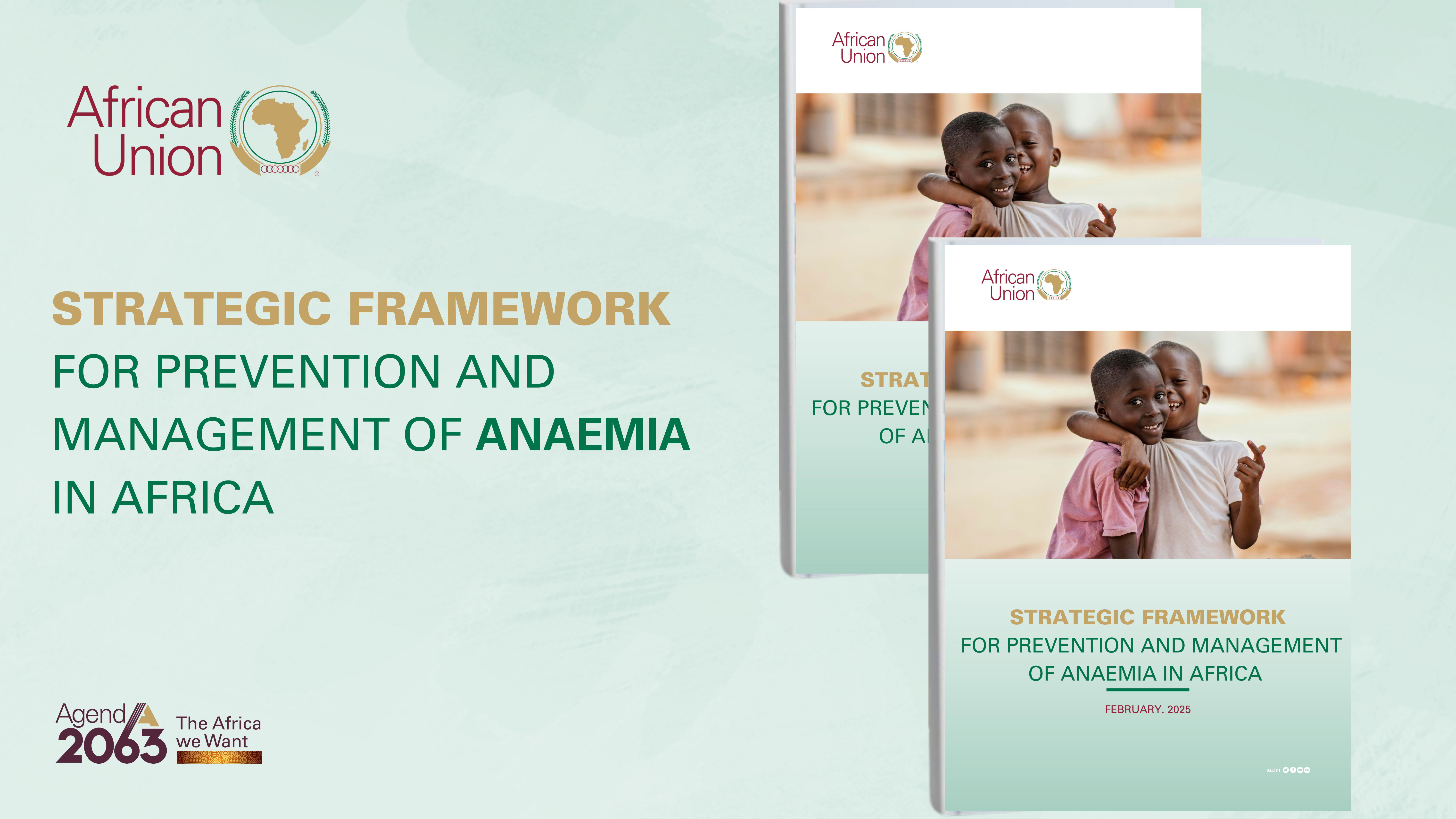 The cover of the Strategic Framework for Anaemia Prevention in Africa